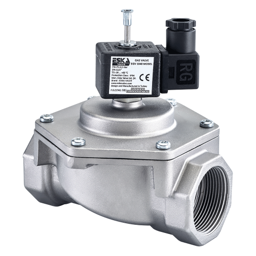 Eska 2'' Doğalgaz Selenoid Vana 220v
