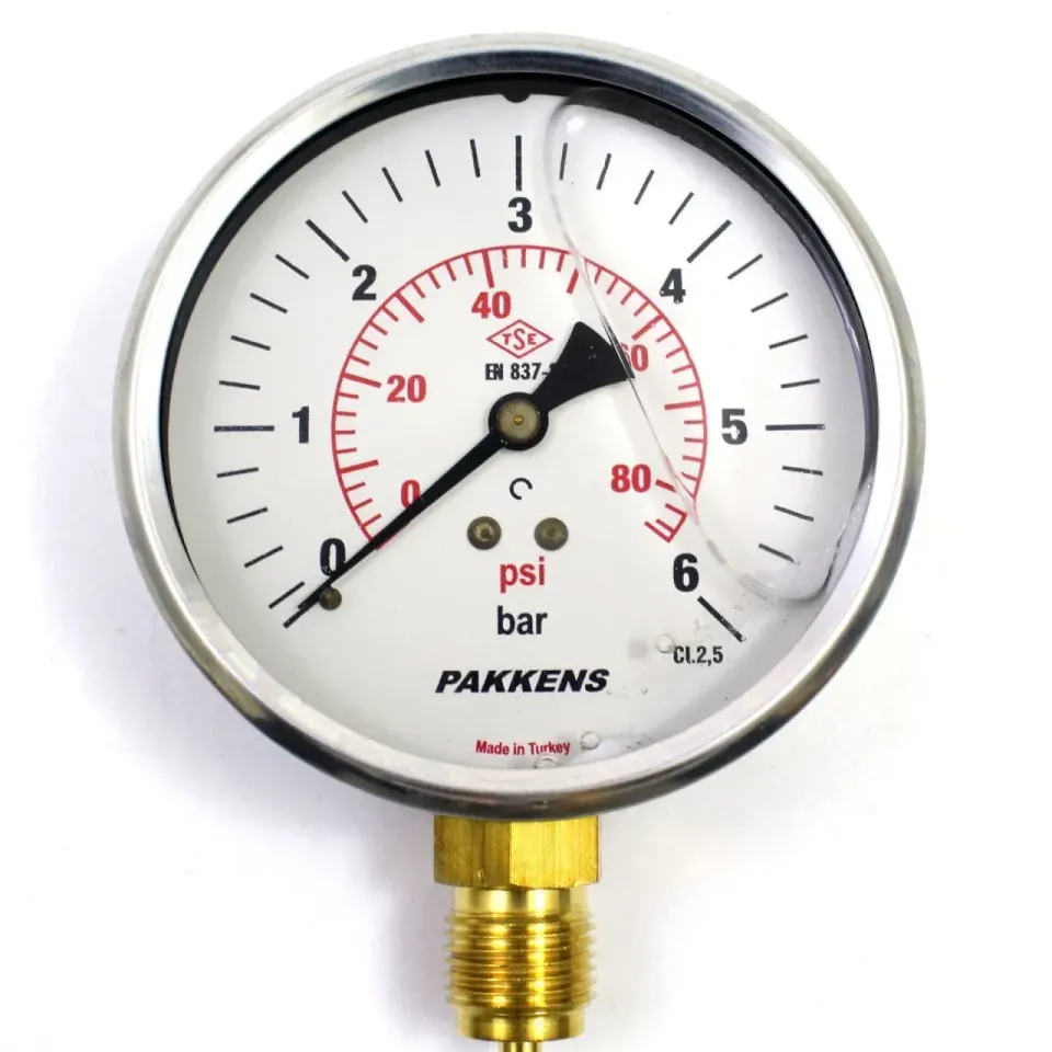 Pakkens Ø100mm Gliserinli Manometre KL:2,5
