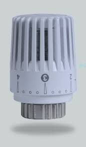 Strava TERMOSTATİK VANA KAFASI PAKKENS